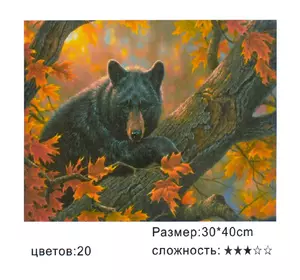 Картина по номерам Медведь Kimi 30 х 40 см 6900066324147