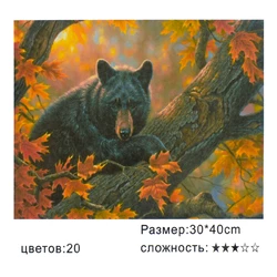 Картина по номерам Медведь Kimi 30 х 40 см 6900066324147