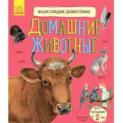 Книга домашние животные Ранок русский язык 9786170969125