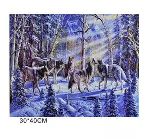 Картина по номерам Kimi Стая волков 30 х 40 см 6900066324413 Картина по номерам Kimi Стая волков 30 х 40 см 6900066324413