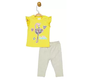 Костюм (футболка, штаны) 68-74 см (6-9 мес) Panolino PL17403 Серо-желтый 8691109877628 Костюм (футболка, штаны) 68-74 см (6-9 мес) Panolino PL17403 Серо-желтый 8691109877628