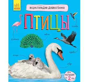 Книга птицы Ранок русский язык 9786170969132