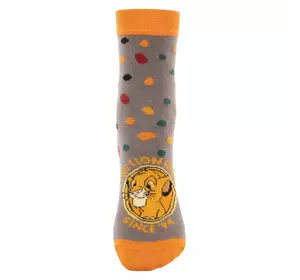 Носки Король Лев Disney 19-22 (6-18 мес) AS19020-1 Серо-оранжевый 8691109934543 Носки Король Лев Disney 19-22 (6-18 мес) AS19020-1 Серо-оранжевый 8691109934543